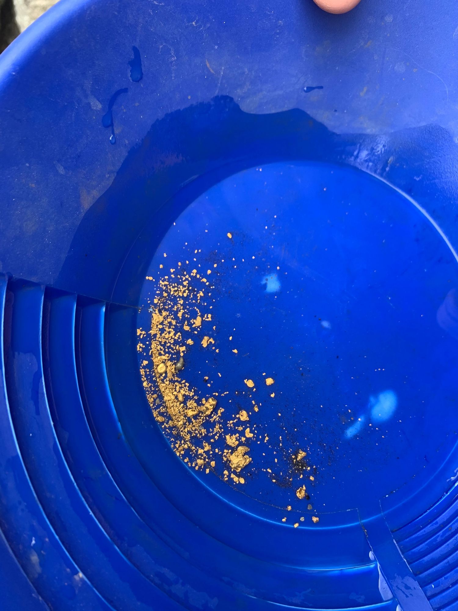 Bright gold flakes caught in the water of a blue gold pan