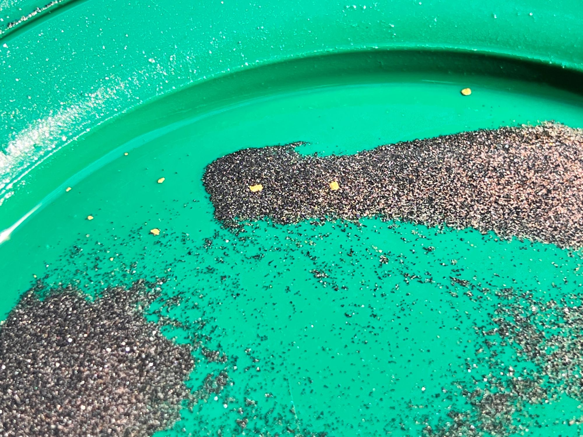 Gold flakes and black sand settled in the bottom of a green gold pan